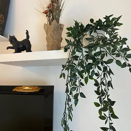 Camurichico Apartamento