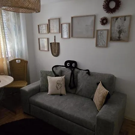 Camurichico Figueira da Foz