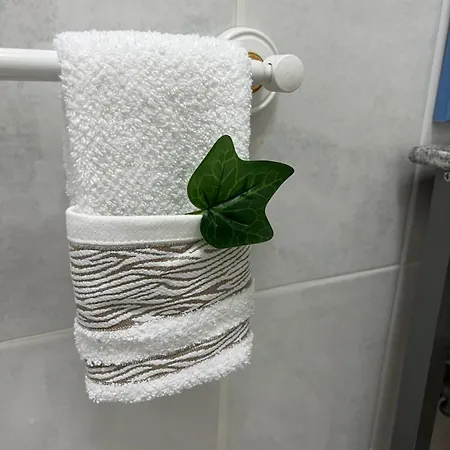 Camurichico * Figueira da Foz