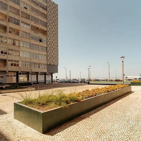 Camurichico *
