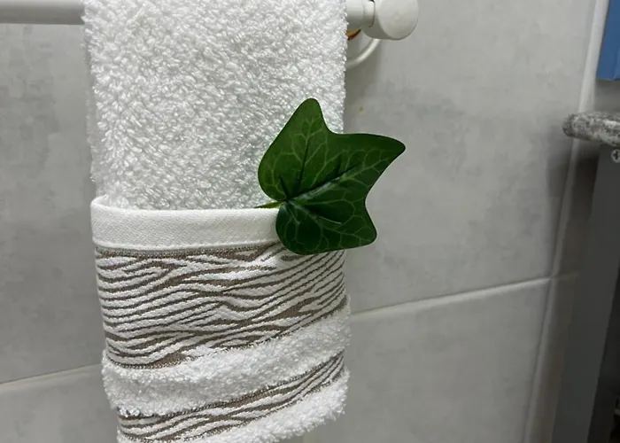 Camurichico * Figueira da Foz