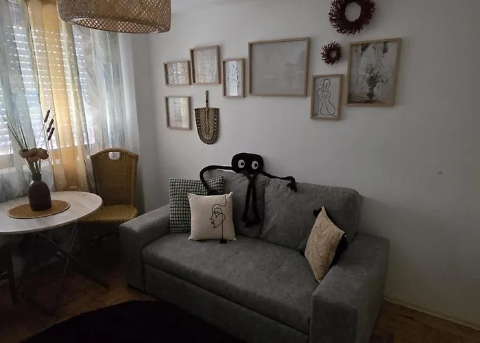 Camurichico Figueira da Foz